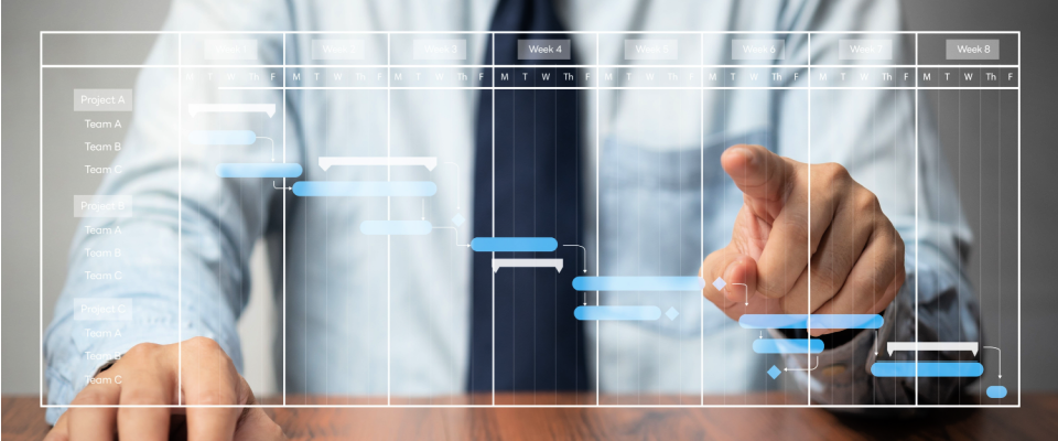 Shutterstock_2229200917