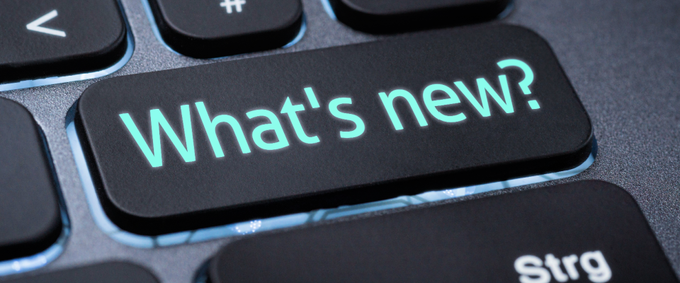 Shutterstock_2472378285