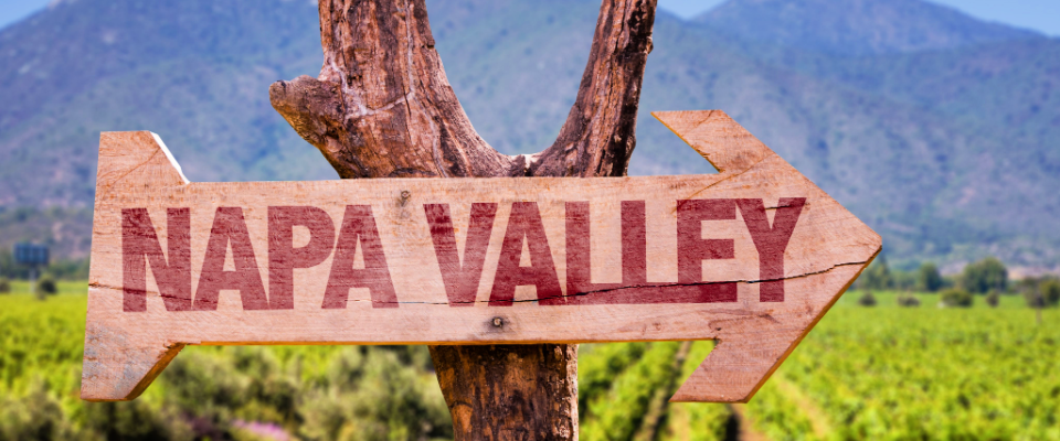 Shutterstock_290264150